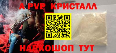 стаф Кинель
