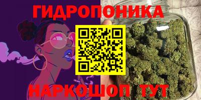 дурь Кингисепп